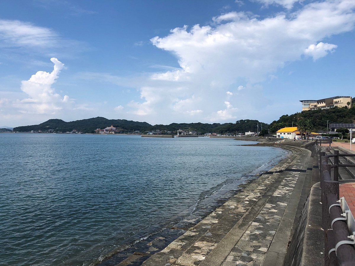 🏞️ 미야즈 해변 공원 (미야즈카이유코엔) 이미지 1